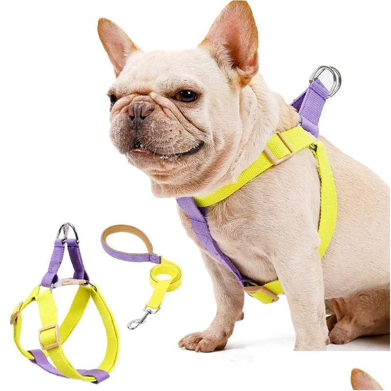 harnesses dog harness and leash no pull nylon pet leashes for small dogs french bulldog chihuahua lead leash and collar set for