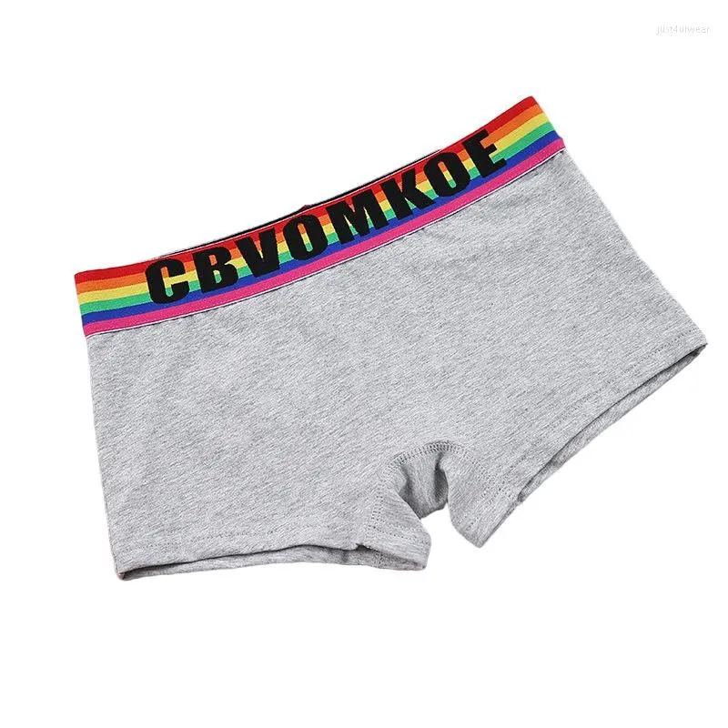 Panties Rainbow Cotton Boxer Briefs for Womens Trans Lesbian Tomboy LGBT Knickers Underwear Women Lingerie
