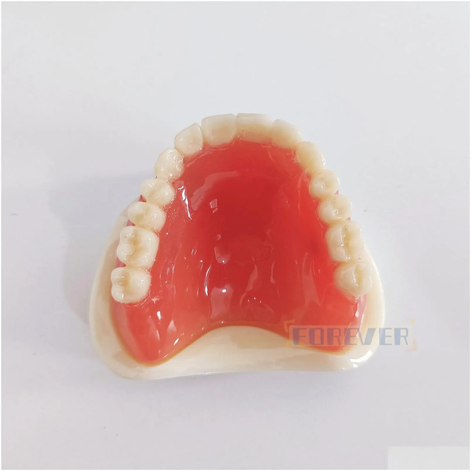 Other Oral Hygiene Dental Model Full Denture Magnetic UpperLower Attachment Study Mandibular 230919