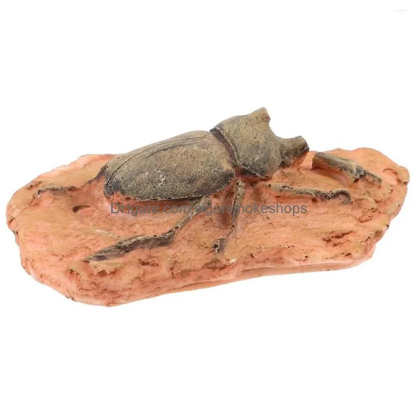 Decorative Objects & Figurines Paleontological Specimen Insect Ornament Teaching Decor For Collecting Science Drop Delivery Home Garde Dh6On