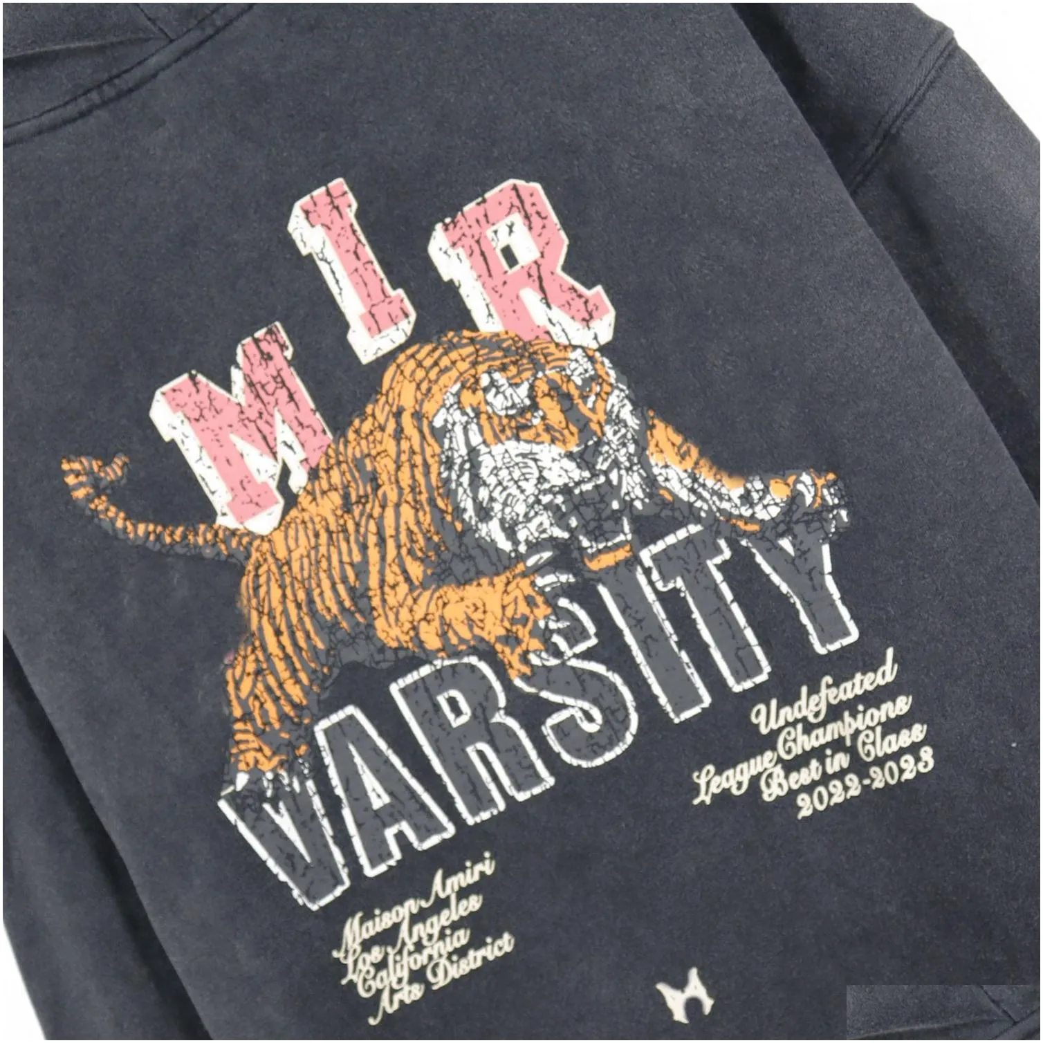 Men`s Hoodies Men Designer Tiger Print Graphics Hoodie Sweatshirts Unisex Oversize Pullover