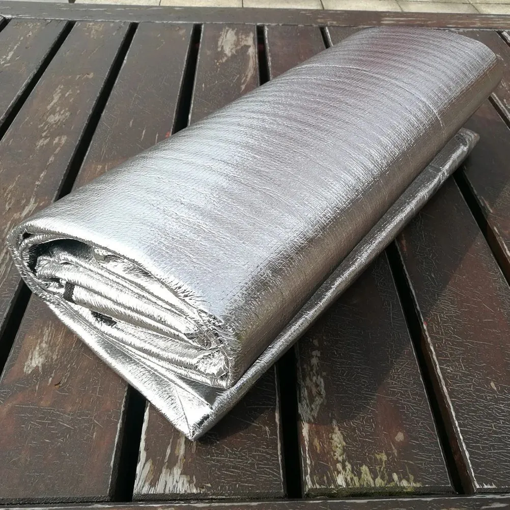 Mat Outdoor Dampproof Mat Picnic Mat Aluminum Film Portable Warm Campsite Pad (25mm 200x200 with Bag)