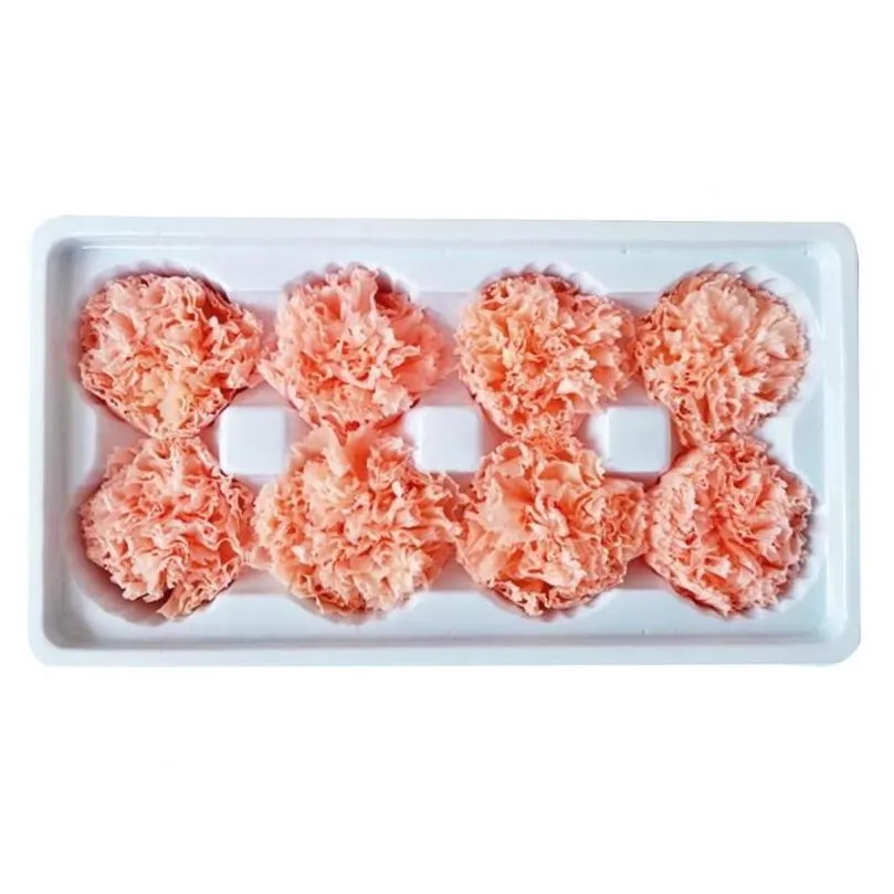 decorative flowers wreaths 8pcs preserved flower head carnation dried mothers day gift box for mother