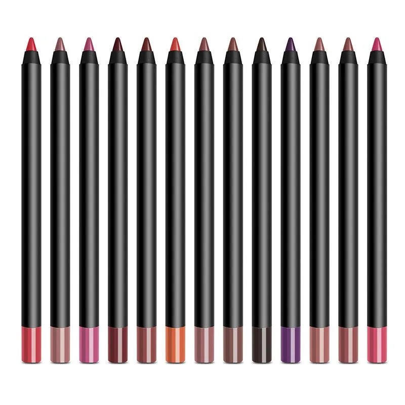 VMAE 2021 Hot Selling Customize Logo Cosmetic Tool Multifunction Lip Liner 13 Colors Long Lasting 3 in 1 Lip Pencil For Young Girls