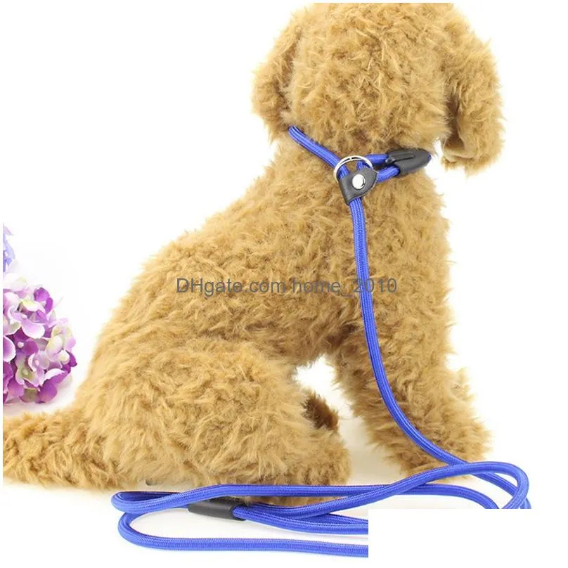 pet dog nylon rope training leashes slip lead strap adjustable traction collar dogs ropes supplies 0.6x130cm