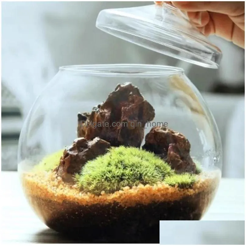 micro landscape moss bryophyte ball shape glass vase with lid  green bottle terrarium bonsai desktop decoration 231225