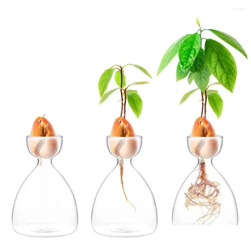 vases stickers gardening lovers transparent seed growing kit glass vase starter for