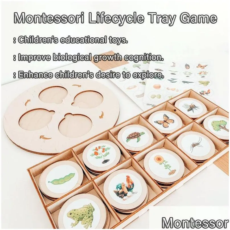 Science & Discovery Disery Life Cycle Board Montessori Kit Biology Education Toys For Kids Sensory Tray Animal Figure Sorting Wooden T Dhl7S
