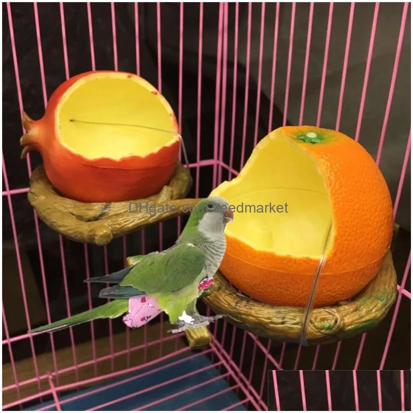 feeding 1pc funny fruit shape bird parrot feeder orange pomegranate food water feeding bowl container feeders for crates cages coop