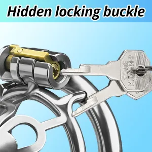  Hidden locking buckle