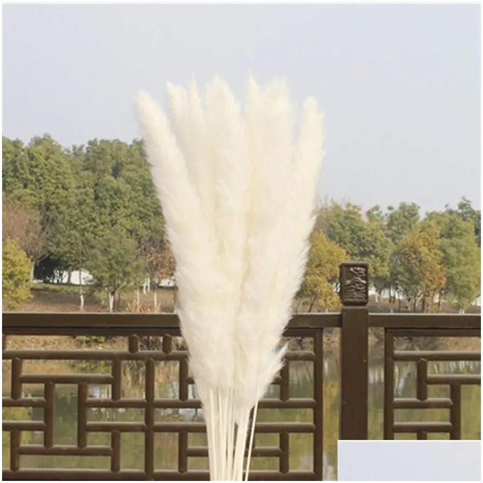 US STOCK 30pcs Natural Dried Pampas Grass Reed Home Wedding Flower Bunch Decor Dried Flowers Outdoor Pink Decor25733498839