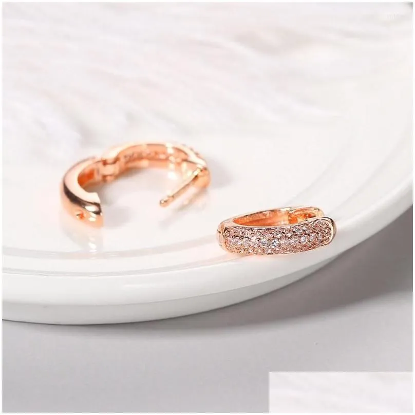 Hoop Earrings Hip Punk Small For Men Out Zirconia Gold Color Hippie Accessories Women`s Jewelry Wholesale OHE027