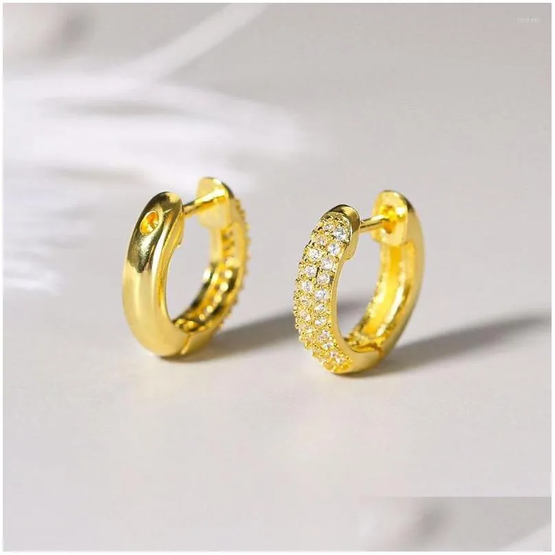 Hoop Earrings Hip Punk Small For Men Out Zirconia Gold Color Hippie Accessories Women`s Jewelry Wholesale OHE027
