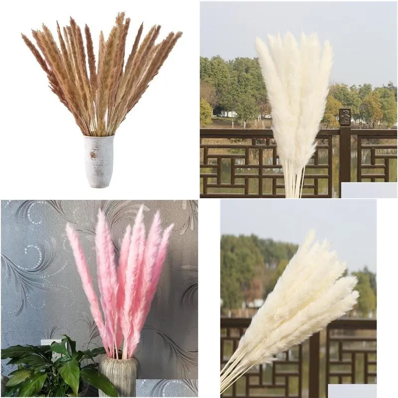 US STOCK 30pcs Natural Dried Pampas Grass Reed Home Wedding Flower Bunch Decor Dried Flowers Outdoor Pink Decor25733498839