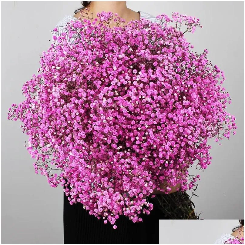 Gypsophile Real Dried Flowers Preserved Babys Breath Flower Bouquets Gift for Wedding Party Decoration Mariage Flores 240321