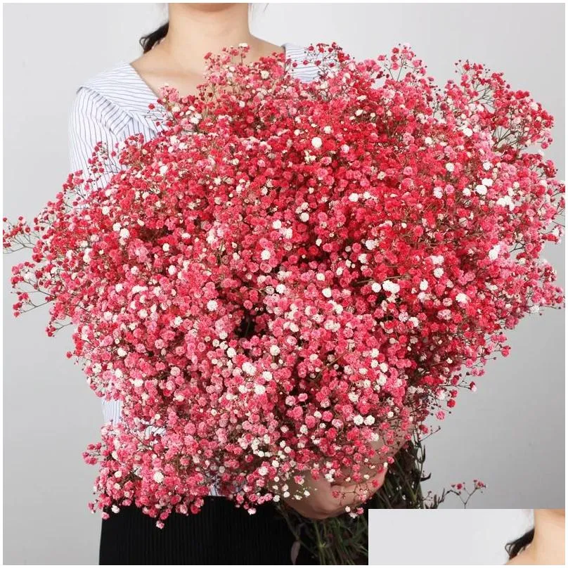 Gypsophile Real Dried Flowers Preserved Babys Breath Flower Bouquets Gift for Wedding Party Decoration Mariage Flores 240321