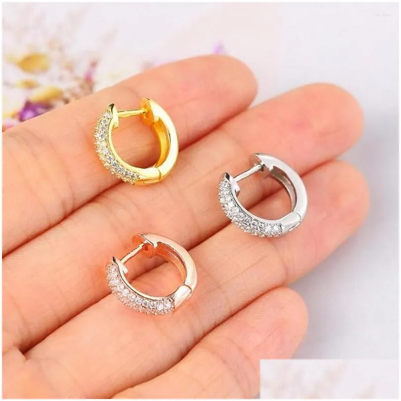 Hoop Earrings Hip Punk Small For Men Out Zirconia Gold Color Hippie Accessories Women`s Jewelry Wholesale OHE027