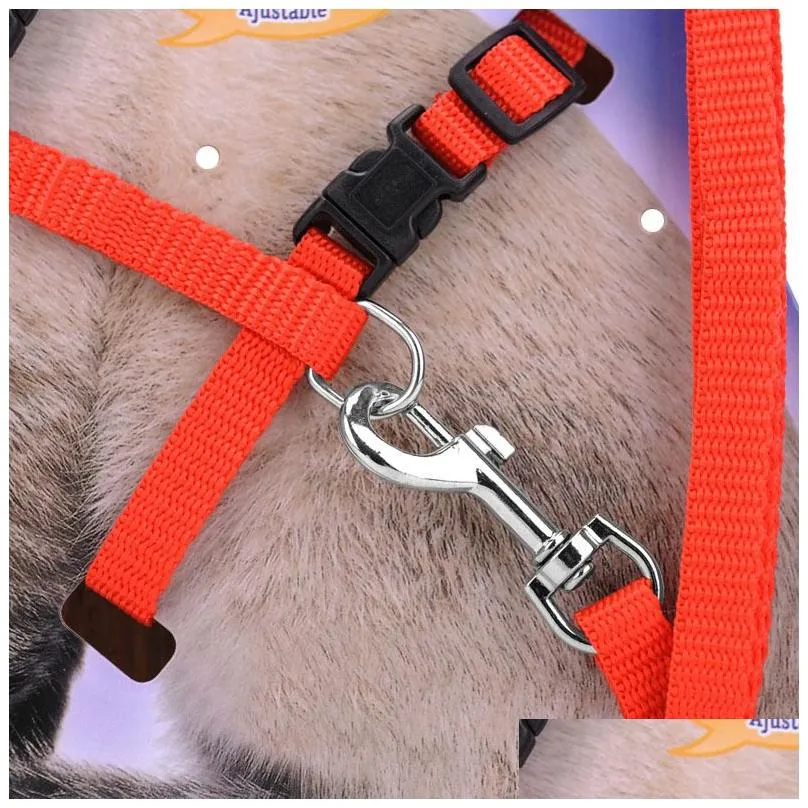 Dog Collars & Leashes Cat Harness Leash Set Adjustable Nylon Pets Traction Rope Puppy Kitten Small Animal Pet Lead Belt Drop Delivery Dhbdw