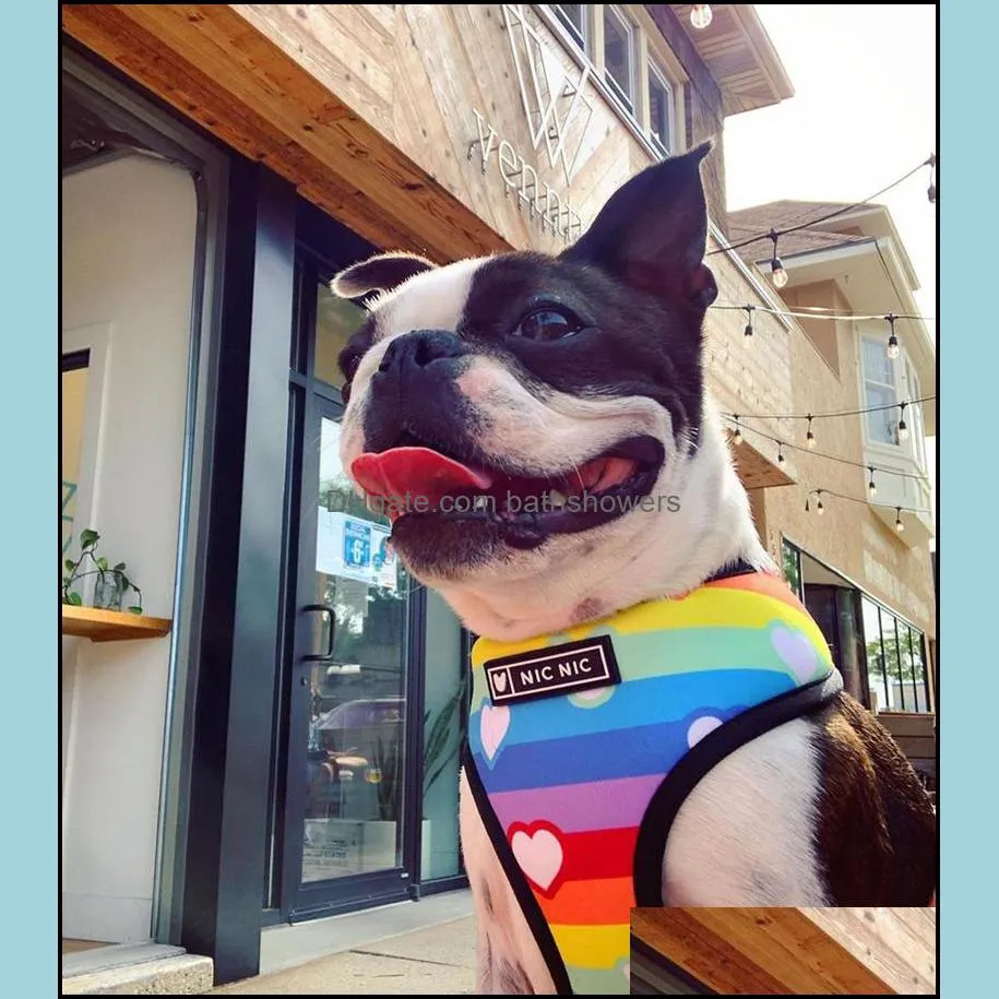 Dog Vest Harness No Pull Rainbow Printed Dog Harnesses and Leashes Set Breathable Mesh Padded Puppy Collars for Small Medi bathshowers