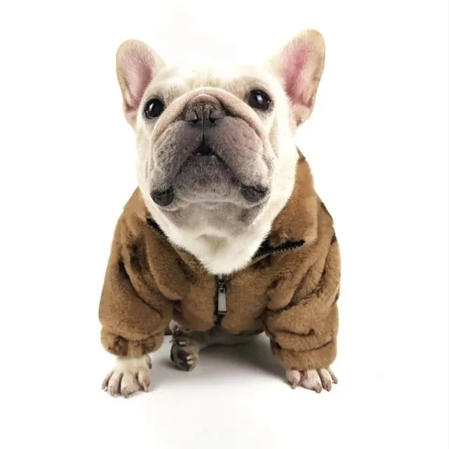 Warm Dog Jacket Designer Pets Clothes Soft Dog Apparel Sublimation Printed Old Flower Pet Winter Coats for Small Dogs French Bulldog Cream XXL