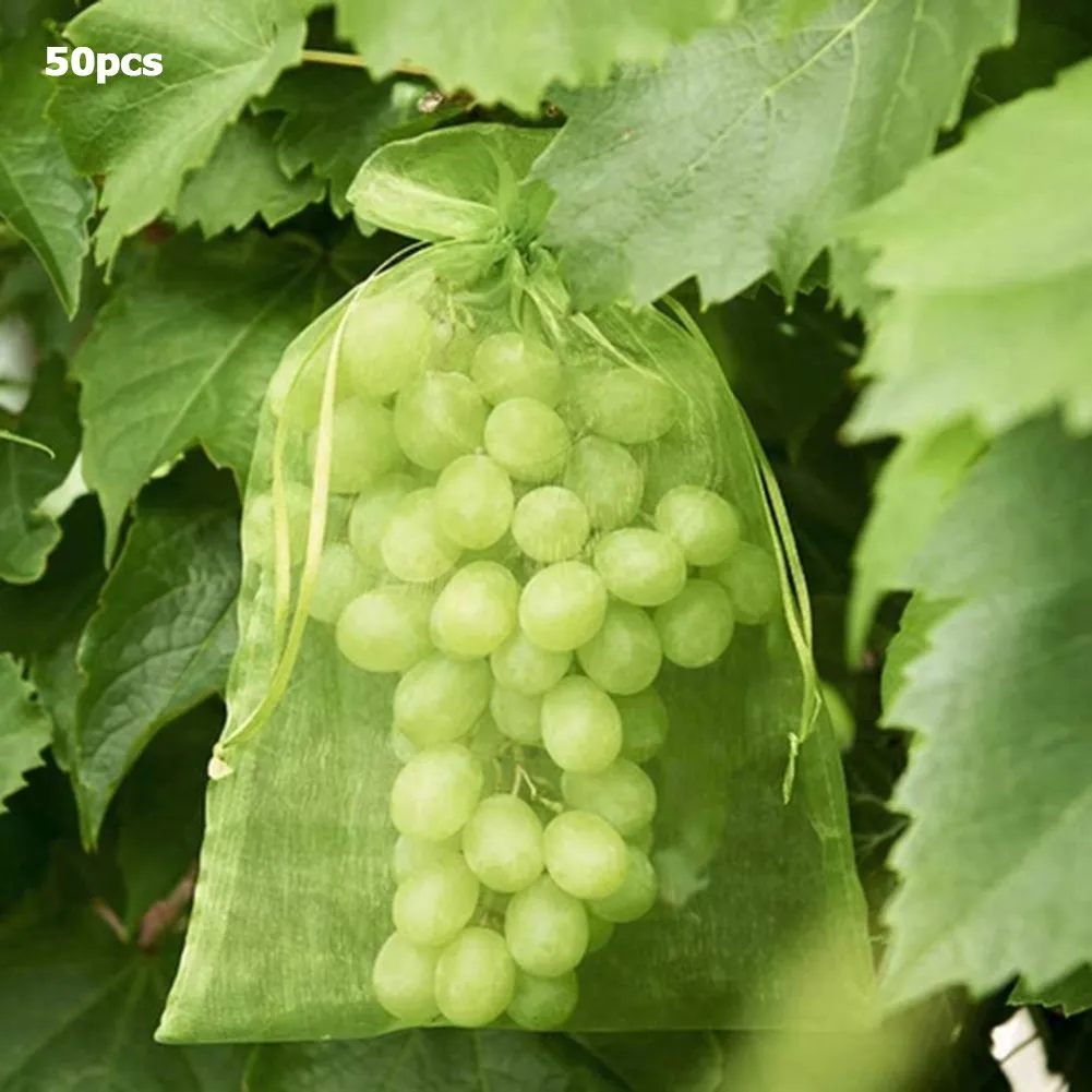Garden Supplies 100pcs/Set Strawberry Grapes Fruit Grow Bags Netting Mesh Vegetable Plant Protection Bags For Pest Control Anti-Bird Please note the