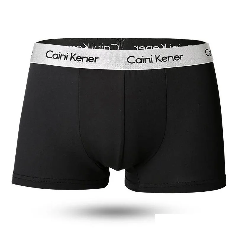 Underpants 4Pcs Men Boxers Man Short Breathable Flexible Comfortable Shorts Lovely Solid Panties 220826