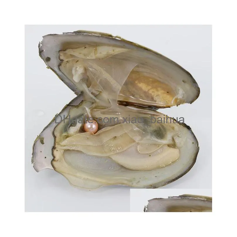 2018 New Akoya DIY Round Pearl Variety Good Of Color Love Wish Pearl freshwater Oysters Individually Vacuum Pack Fashion Gift Surprise
