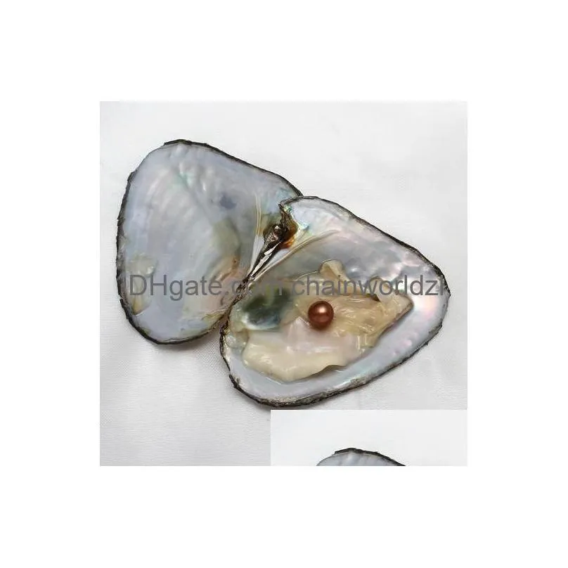  oysters 27 colors natural pearls inside pearl party oysters in bulk open at home pearl oysters with vacuum packaging