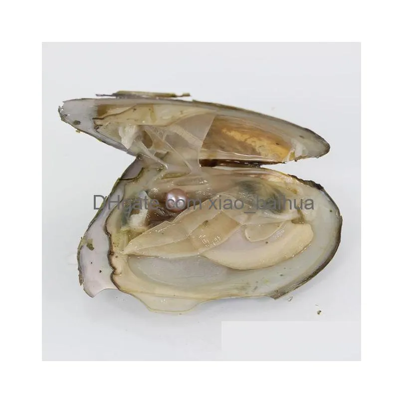 2018 New Akoya DIY Round Pearl Variety Good Of Color Love Wish Pearl freshwater Oysters Individually Vacuum Pack Fashion Gift Surprise