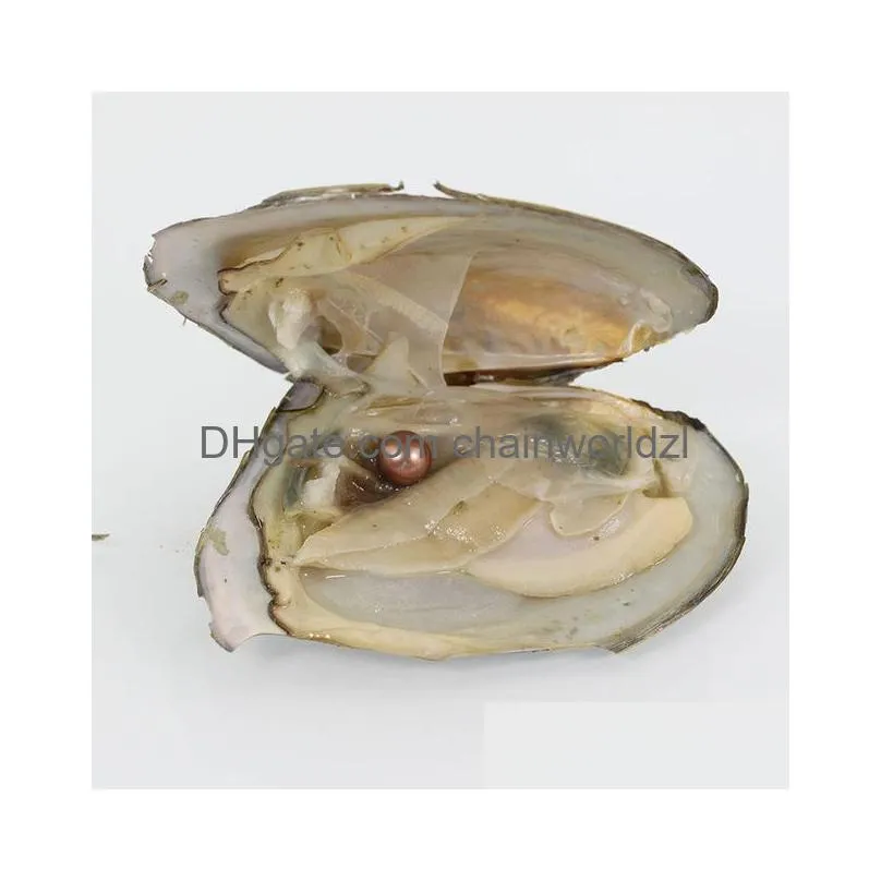 akoya diy round pearl variety good of color love wish pearl freshwater oysters individually vacuum pack fashion trend gift surprise
