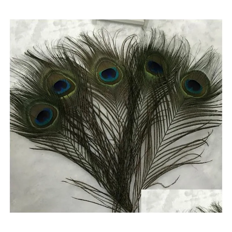 natural peacock feather 23-30cm diy clothing decoration plumage crafts g1094