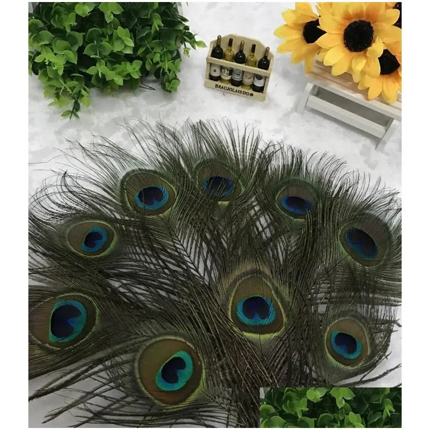 natural peacock feather 23-30cm diy clothing decoration plumage crafts g1094