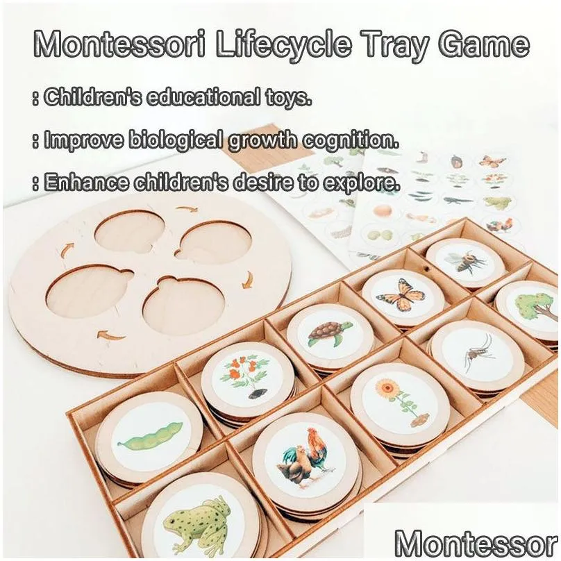 Science & Discovery Science Disery Life Cycle Board Montessori Kit Biology Education Toys For Kids Sensory Tray Animal Figure Sorting Dhnoz