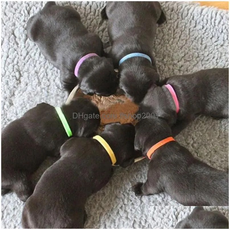 dog collars 12 pcs/set puppy born pets identify adjustable nylon small pet kitten necklace id