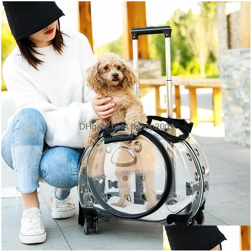 dog car seat covers pet cat trolley suitcase luggage with wheels carrying transparent breathable carrier backpack stroller