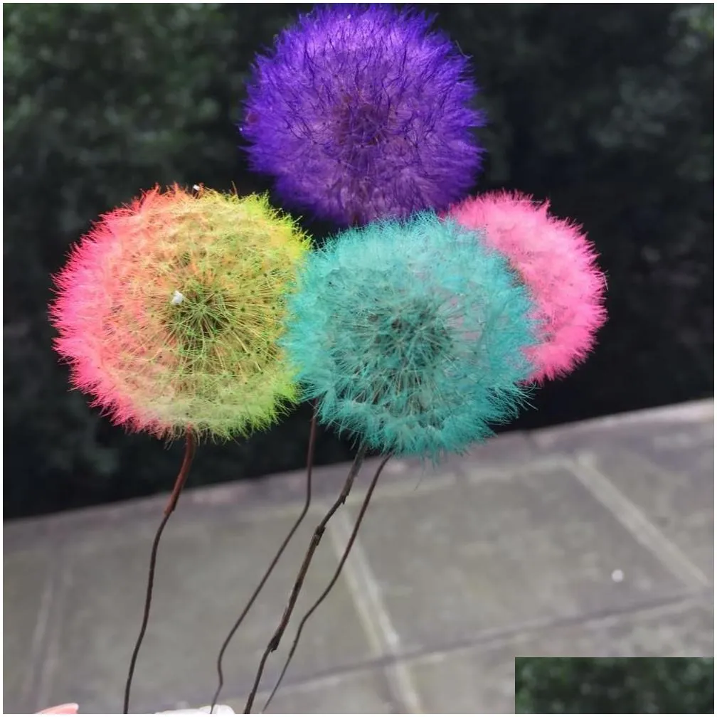 Dried Flowers 3-4Cm/4Pcs Natural Preserved Real Dandelion Craft With Wire Branch Flower Art Diy Wedding Party Home Decoration Accessor Dh7Iw