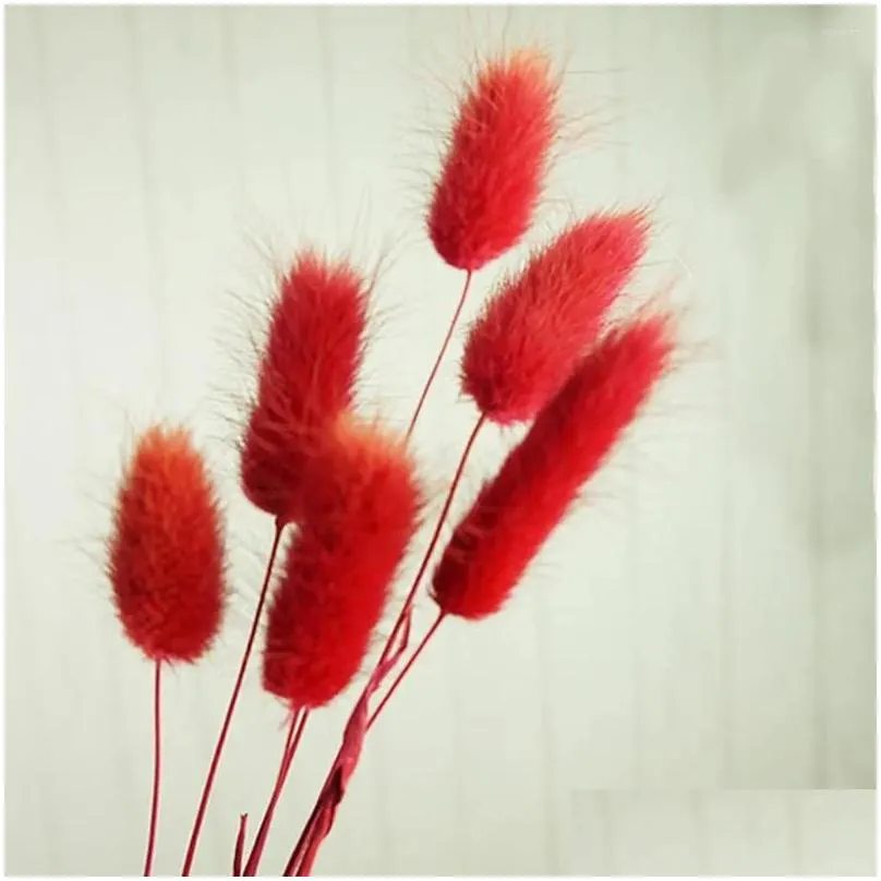 decorative flowers home decoration pastoral style plant stems natural material tails lagurus ovatus dried bouquets tail grass