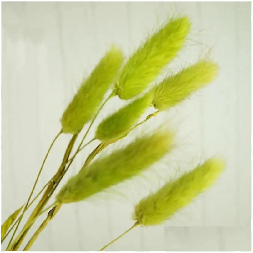 decorative flowers home decoration pastoral style plant stems natural material tails lagurus ovatus dried bouquets tail grass