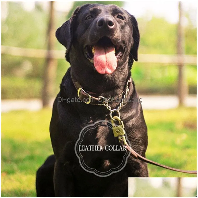 elegant genuine leather dog training collar stainless steel chain choke collar for big large dogs pet supplies dog accessories 201104