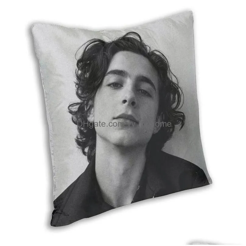 pillow /decorative timothee chalamet square case home decor 90s tv actor s throw for living room double-sided printing/