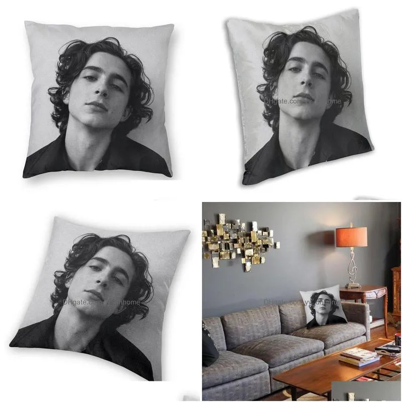 pillow /decorative timothee chalamet square case home decor 90s tv actor s throw for living room double-sided printing/