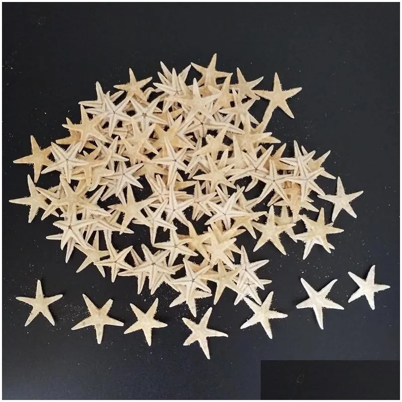 novelty items sea size1.8-3cm 100pcs mini starfish craft decoration natural stars diy beach cottage wedding decor crafts