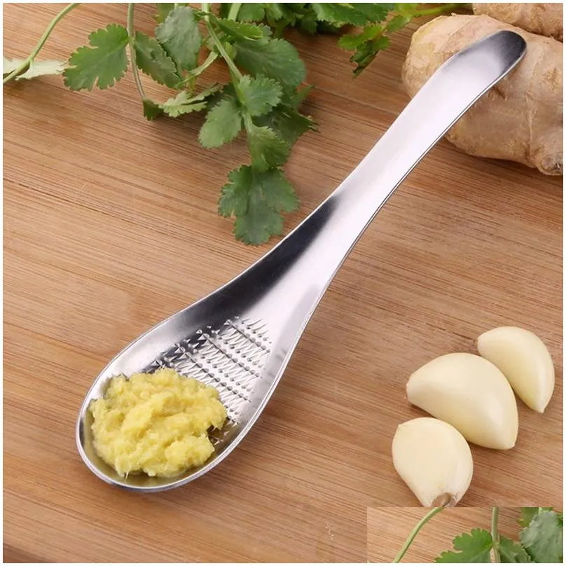 stainless steel spoon ginger grinder household kitchen tools melons and fruits grinding tool garlic masher 17x4.2cm