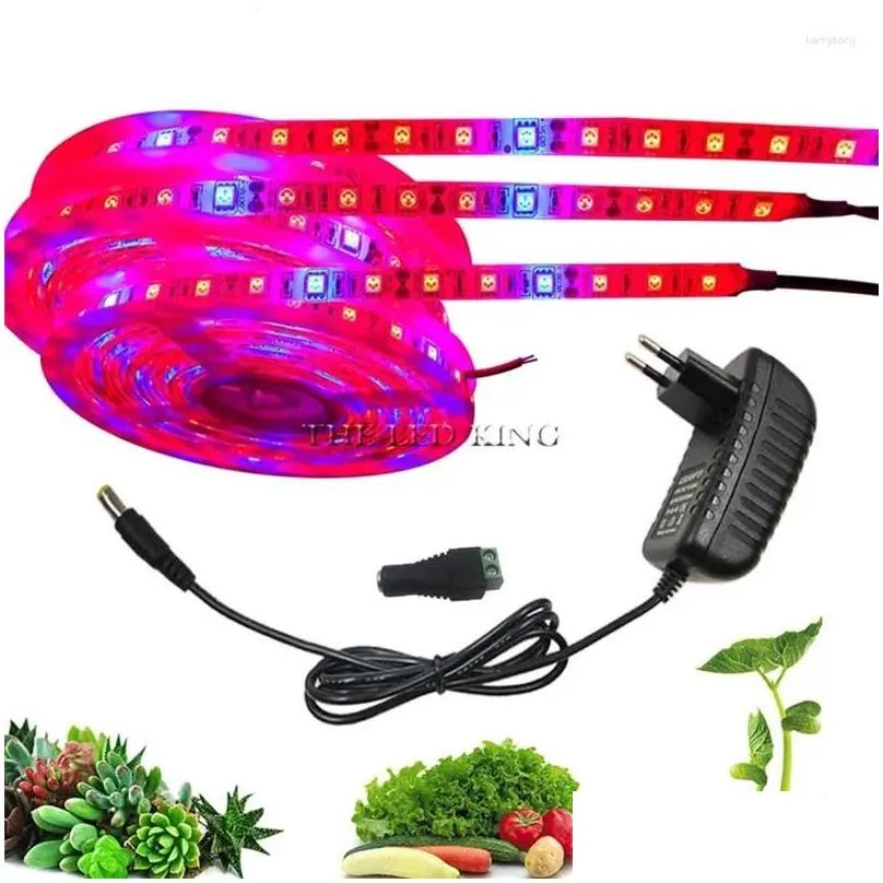 Grow Lights 5M 300Leds Led Fl Spectrum Phyto Lamp 12V Light Strip Waterproof Smd Plant Flower Greenhouse Ctivo Hydroponic Drop Delive Dhpud