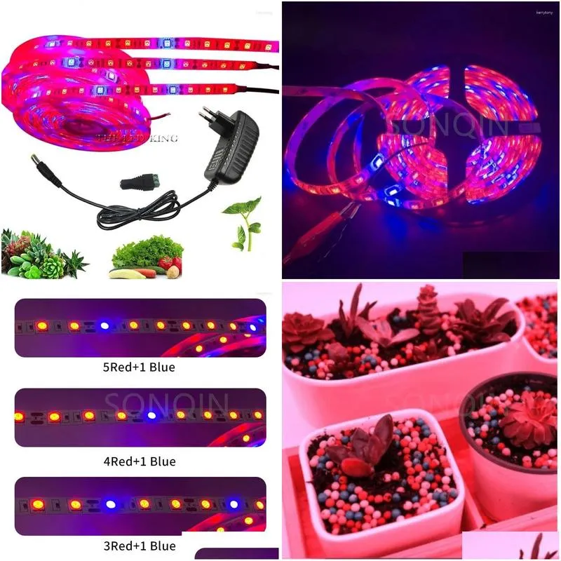 Grow Lights 5M 300Leds Led Fl Spectrum Phyto Lamp 12V Light Strip Waterproof Smd Plant Flower Greenhouse Ctivo Hydroponic Drop Delive Dhpud