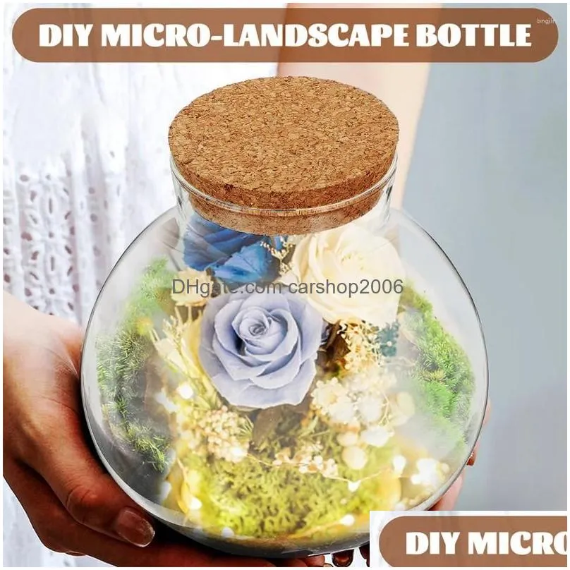 vases desktop micro-landscape bottle small glass decorative landscaping container plant terrarium diy