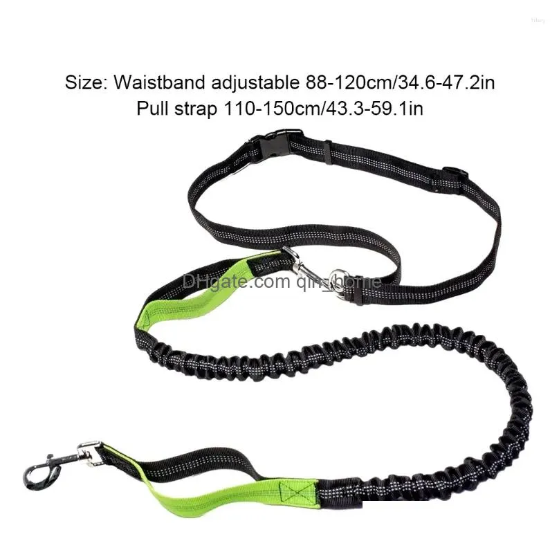 dog collars jogging leash reflective strip durable polyester adjustable belt stylish pet cat