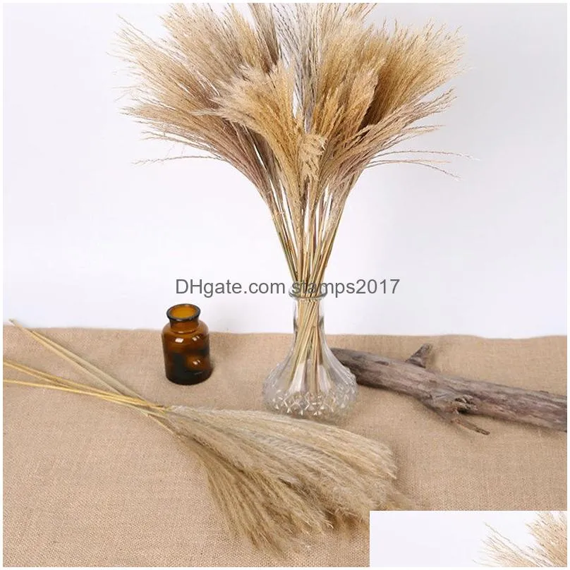 natural dried flowers wedding decorative real pampas reed whisk grass artificial flower bunch home plant ornaments