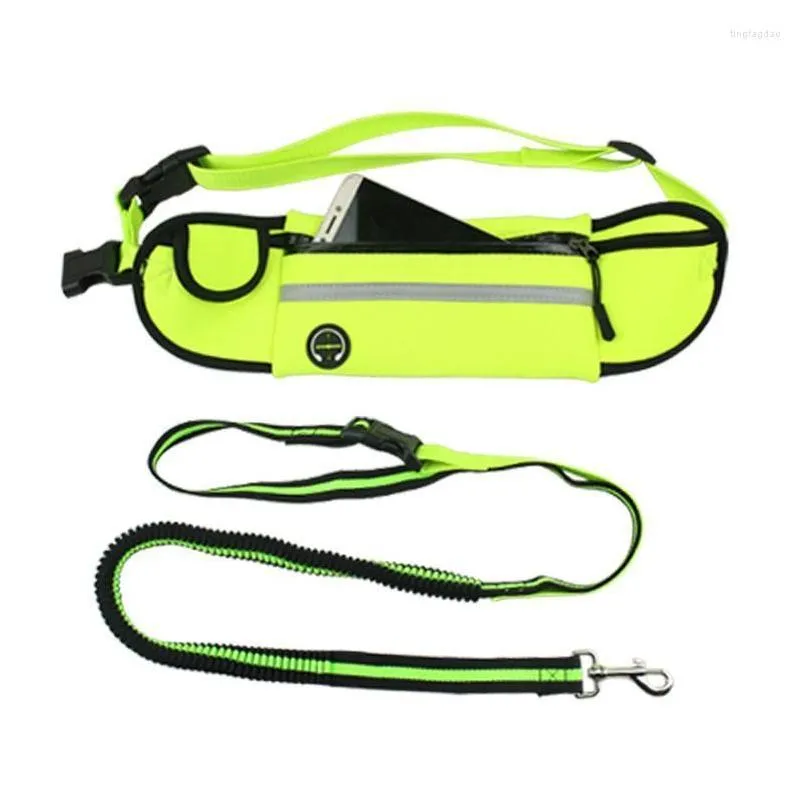 dog collars pet waist bag sports traction rope reflective and waterproof running multifunctional belt harness leash set