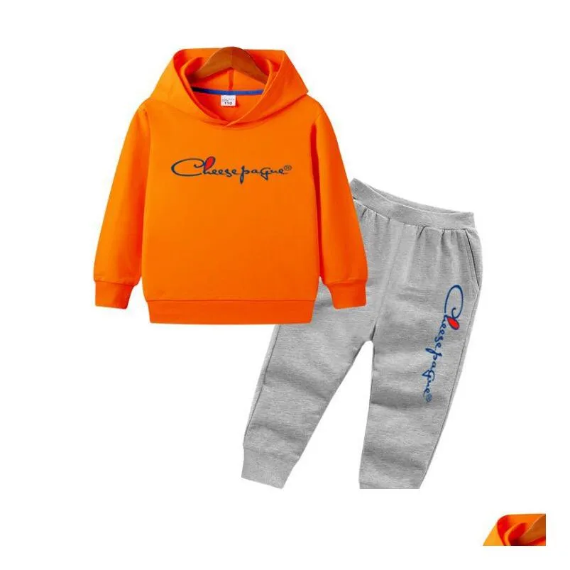 kids clothes girls clothes sets children sportwear hoodies pant tracksuit 2pcs fashion baby casual sport suit boys